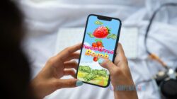 Review Aplikasi Sweet Fruit Bomb Penghasil Uang