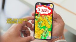 Review Game Coin Carnival Penghasil Uang yang Sudah Ada di Play Store