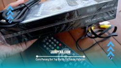 Cara Pasang Set Top Box ke TV Tabung Polytron Tanpa Ribet