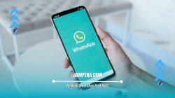 Cara Download Aplikasi WhatsApp Mod Mp3 Terbaru 2022