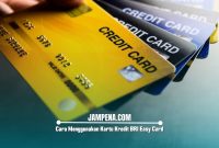 Cara Menggunakan Kartu Kredit BRI Easy Card