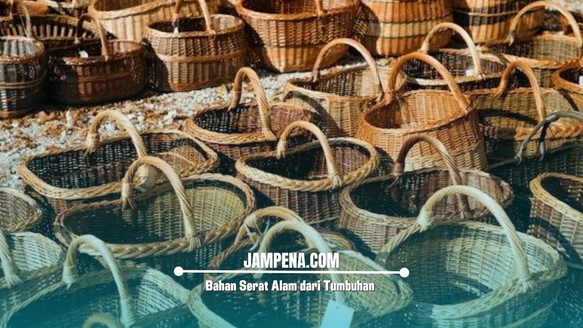 Bahan Serat Alam dari Tumbuhan yang Dapat Diolah Menjadi Produk