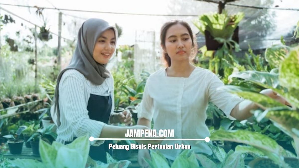 Peluang Bisnis Pertanian Urban