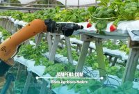 Bisnis Agribisnis Modern